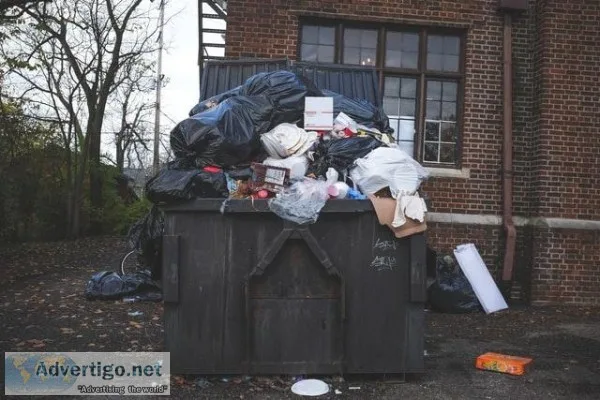 Hassle-free Skip hires for efficient waste management