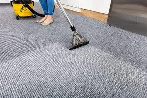 Carpet Cleaning Surrey  604 692 2539