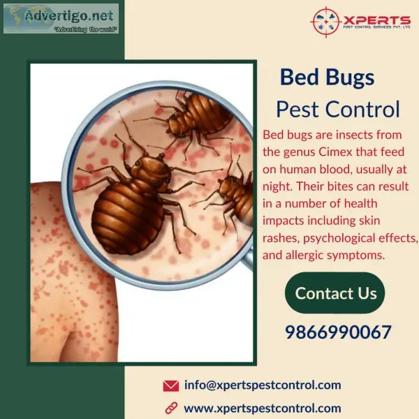 Best Bed Bug Pest Control Services in Hyderabad - Pest Control