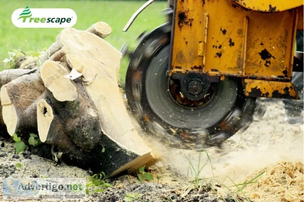 Stump removal