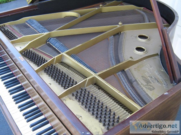 Baby Grand Piano