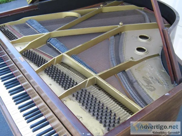 Baby Grand Piano