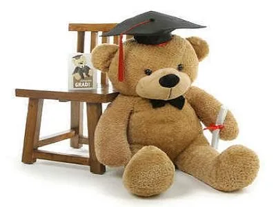 Shop Personalized Graduation Teddy Bear  Giant Teddy