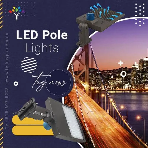 Buy Now LED Pole Lights at Cheap Price