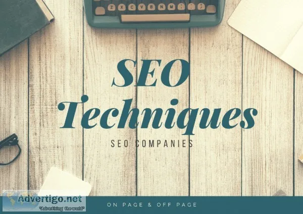 What are the services by SEO experts in USA