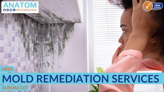 Need Mold Remediation Services in Aurora CO