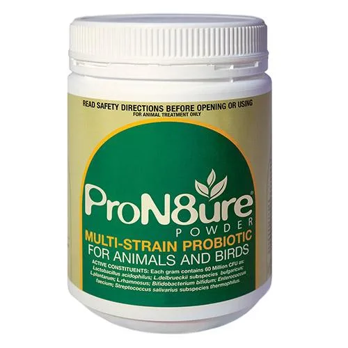 Buy PRON8URE (PROTEXIN) POWDER For Dogs Online - DiscountPetCare