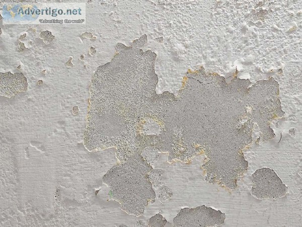 Water Seepage Waterproofing Contractors