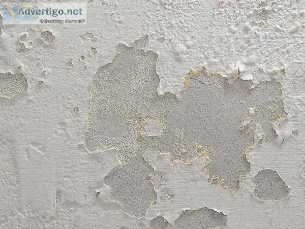 Water Seepage Waterproofing Contractors