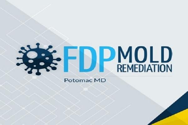 FDP Mold Remediation