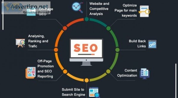 Grow Your Business Online with Professional SEO Company in Kolka