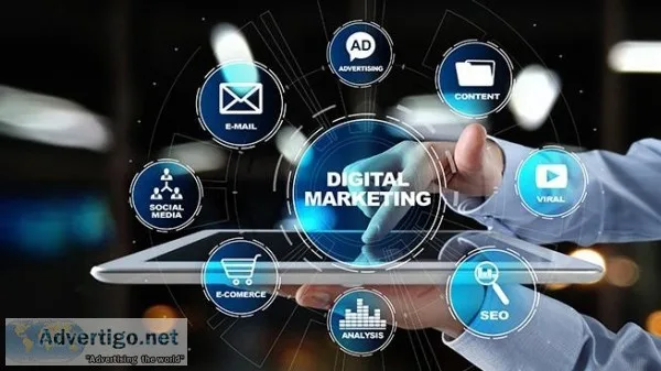 Get More Leads Online - Hire a Professional Digital Marketing Co