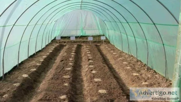 Shade Nets manufactured from synthetic fiber in Bangalore
