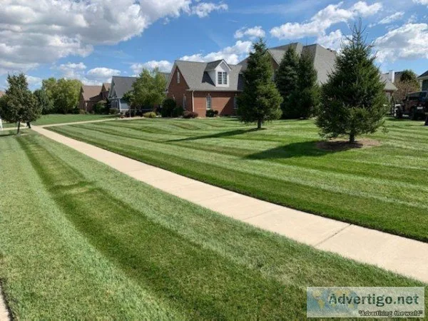Professional Landscaping Services