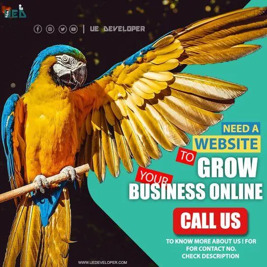 Website design company provide you with masterpieces.