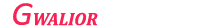 Web Development Company in Gwalior
