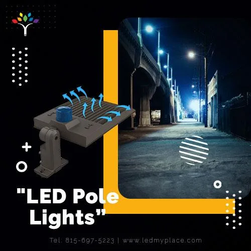 Buy Now LED Pole Lights at Discounted Price