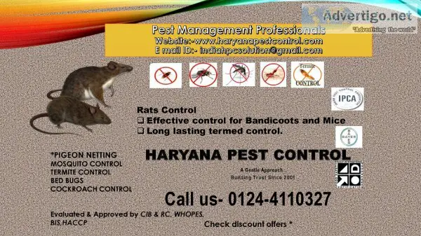 Best pest control service in delhi ncr