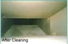 1 Area Rug Cleaning Toronto and Richmond Hill Best Area Rug Clea