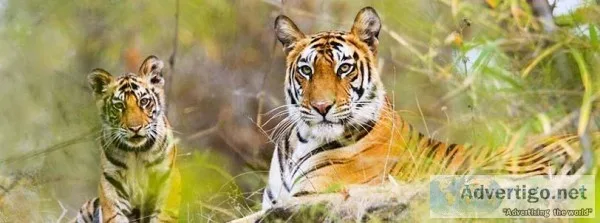 Sundarban Tour Package from Kolkata in Winter Holidays