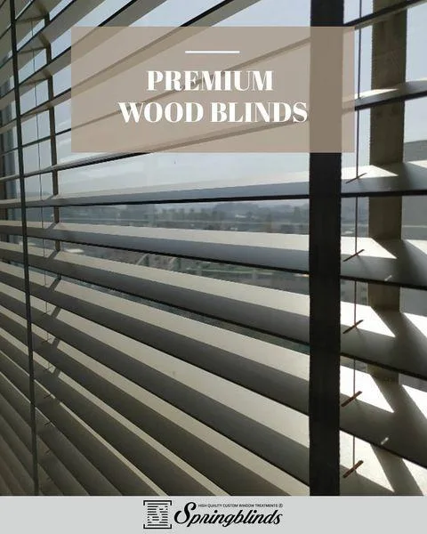 Spring Blinds &ndash The Ultimate Destination for Perfect Somfy 