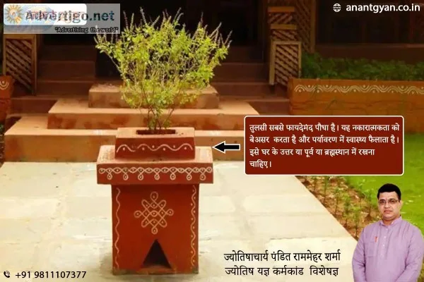 Best Famous Astrologer in Noida  Famous Astrologer in Noida