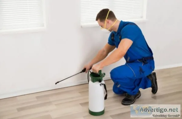 Pest Control Blacktown