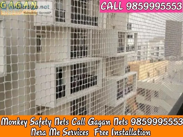 Monkey safety nets call now fixing Bangalore