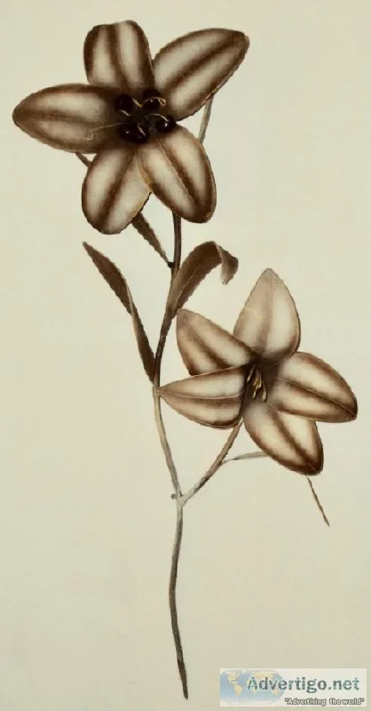 New - Metal Wall Flower Art