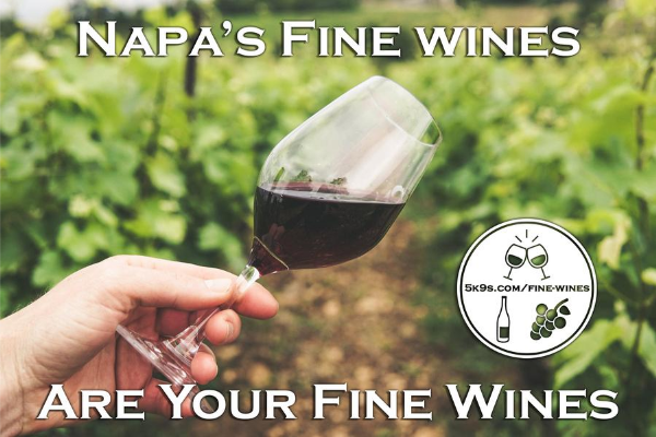 Drink Wine Without The Headache