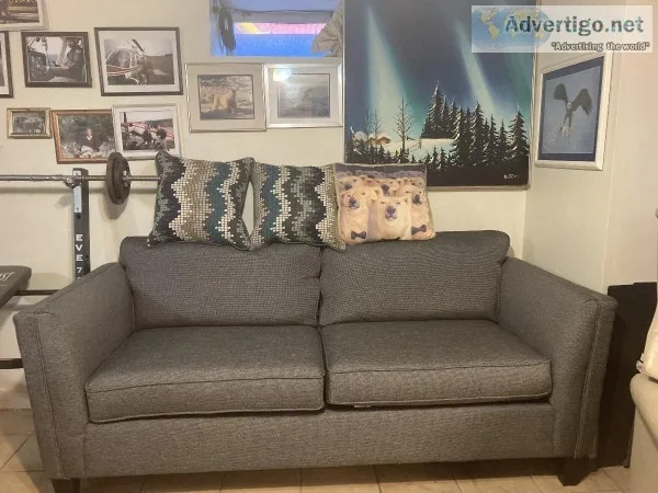 Gray Couch