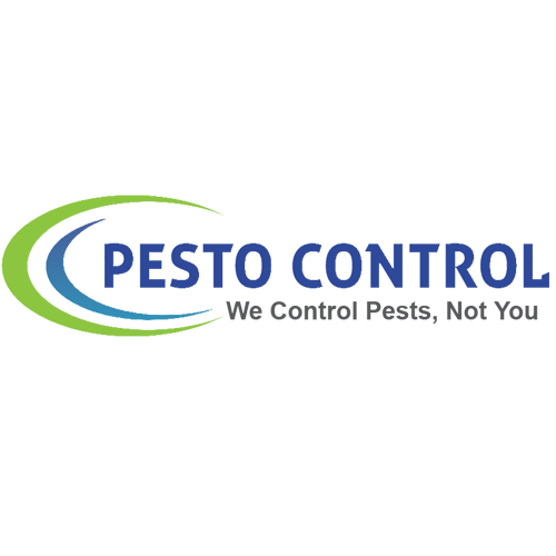 Best Pest Control in Jaipur