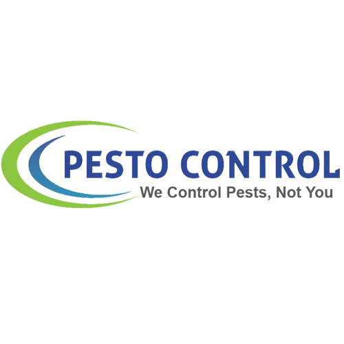 Best Pest Control in Jaipur