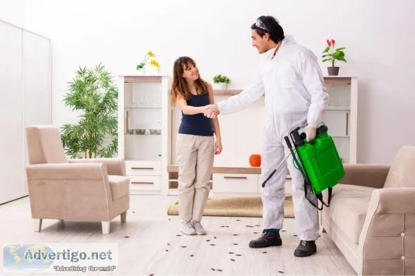 San Antonio Rodent Removal Services  Bugco.org