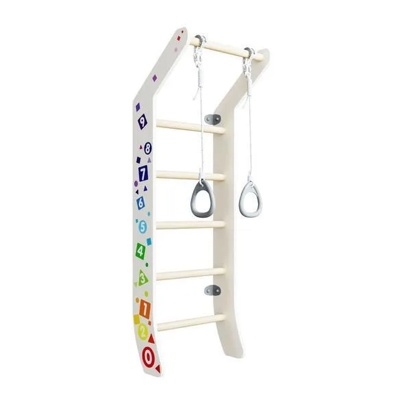Buy Indoor Jungle Gym for Kids  Tinnitots