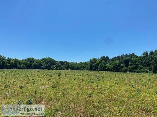 Beautiful 5.01 Acre building tract with large perk site