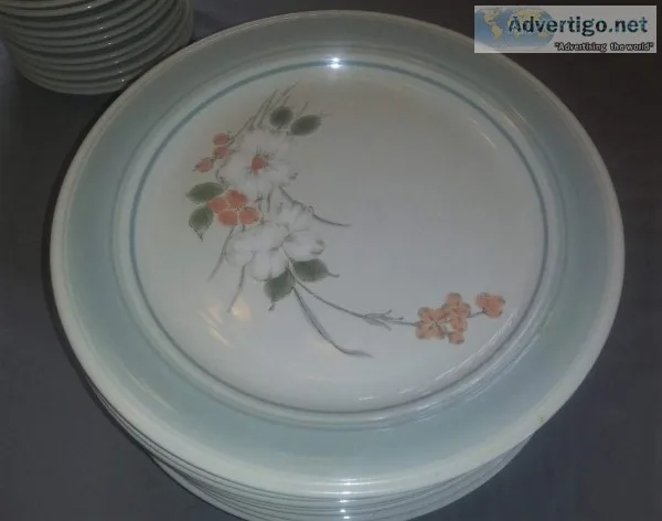 30 Dinner Plate Set