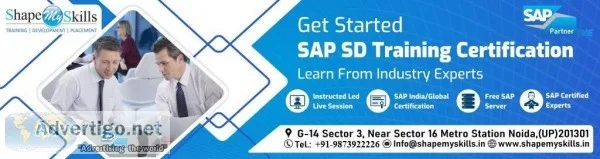 Learn sap sd online training Course with ShapeMySkills Pvt. Ltd.