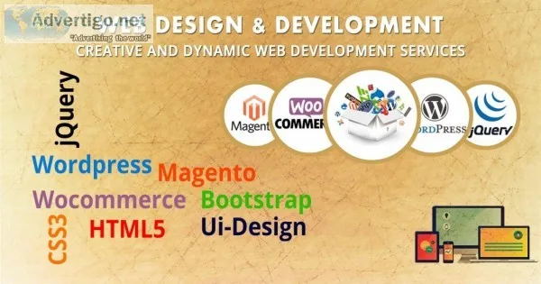 Best Web Design and Development Company in Delhi