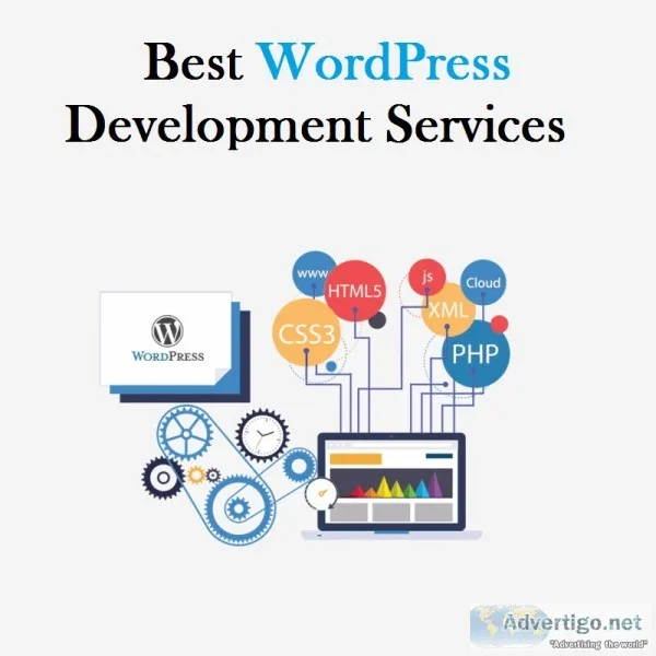 Invoidea Technologies Provides WordPress Development Services in