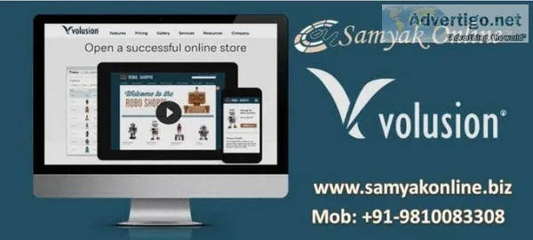The best volusion experts