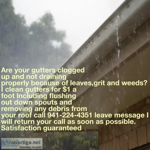 Gutter cleaning