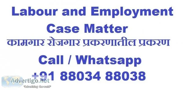 Labour and Employment Case Matter Call 91 88034 88038
