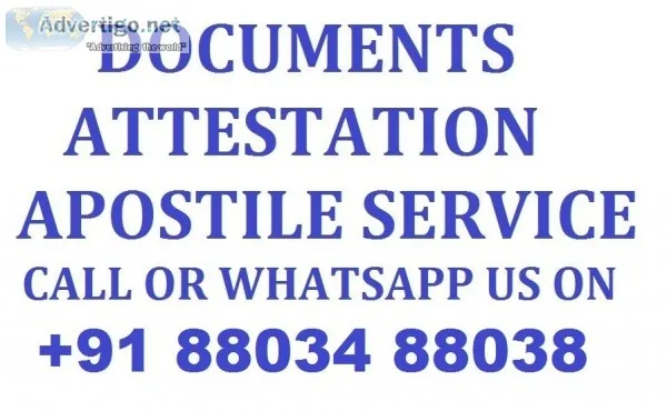 Documents Apostile and Attestation Services Call 91 88034 88038