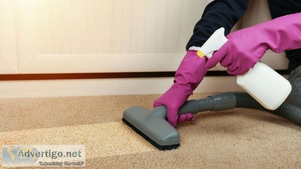 Best Carpet Pet Urine Removal Brisbane