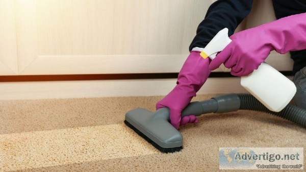 Best Carpet Dry Cleaning in Canberra