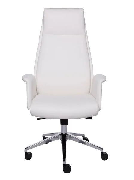 Euro Style Ilaria High Back Office Chair  Modern Office Chairs A