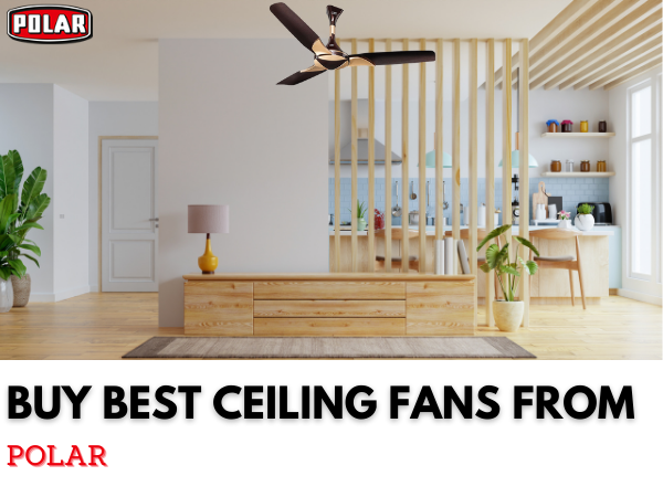Purchase Decorative Ceiling Fans To Boost Your Space