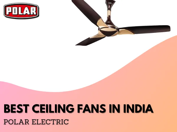 The Best Electric Appliance Brand Polar India