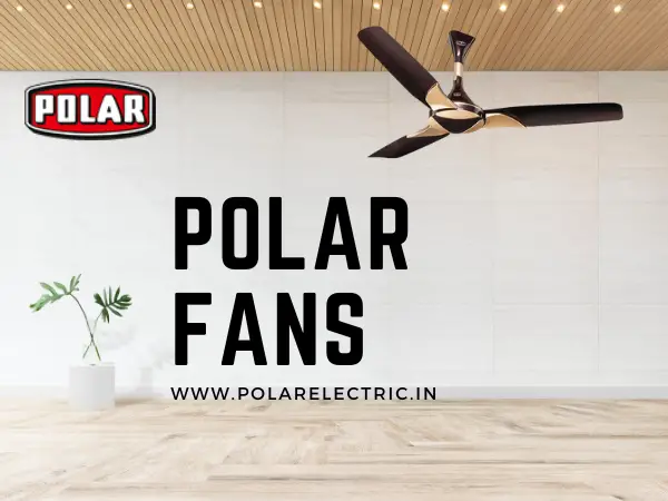 Ceiling Fans That You Can Trust On